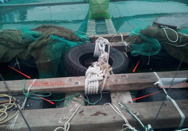 台山鱼排海钓联系(2020台山最新钓鱼)