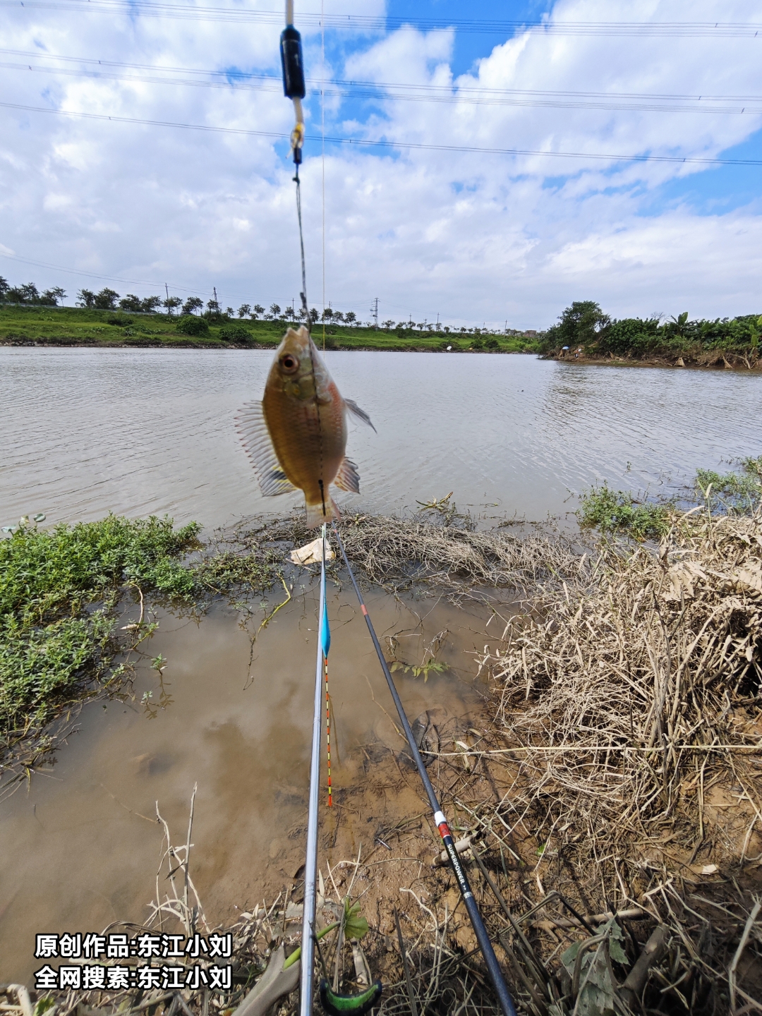 湖南台钓鱼格格海钓(快乐垂钓格格钓鱼视频)
