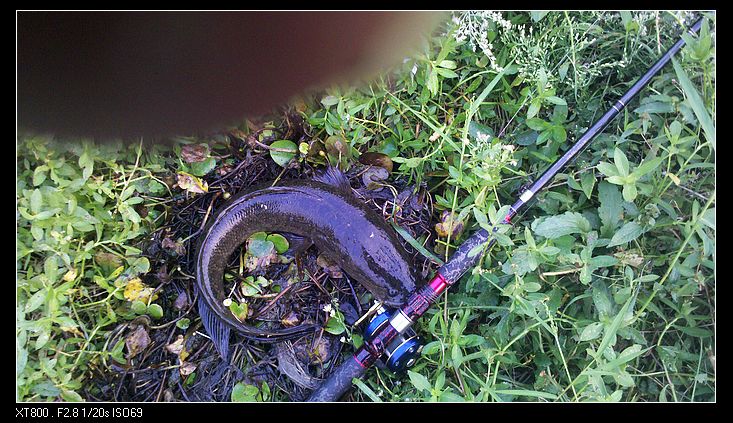 滑口塘打黑技巧(抓鲶鱼的最好办法)