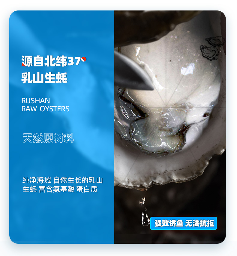 汉鼎的饵料怎么样(汉鼎钓鱼都有哪些系列)