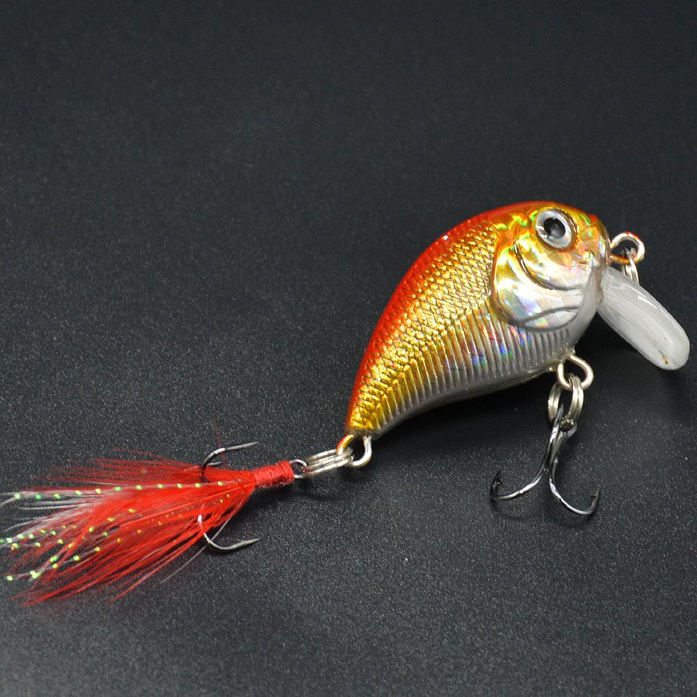 胖子渔具商行怎么样(湖北钓鱼王渔具有限公司)