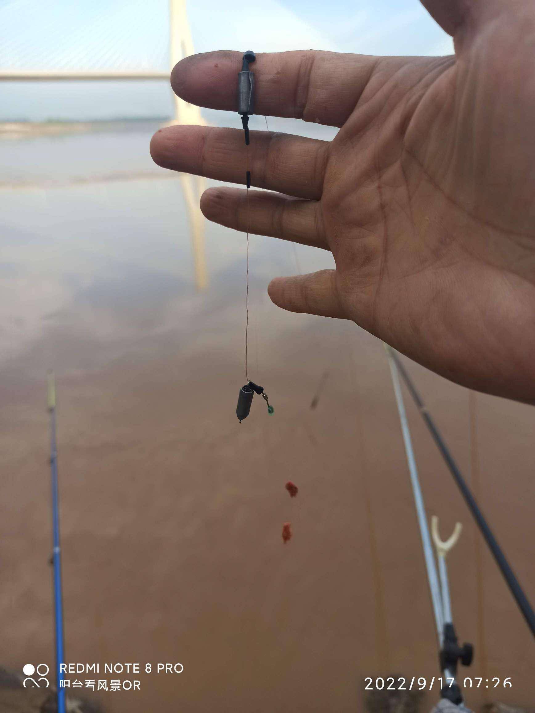 去黄河钓鱼技巧(在黄河钓鱼选什么位置)