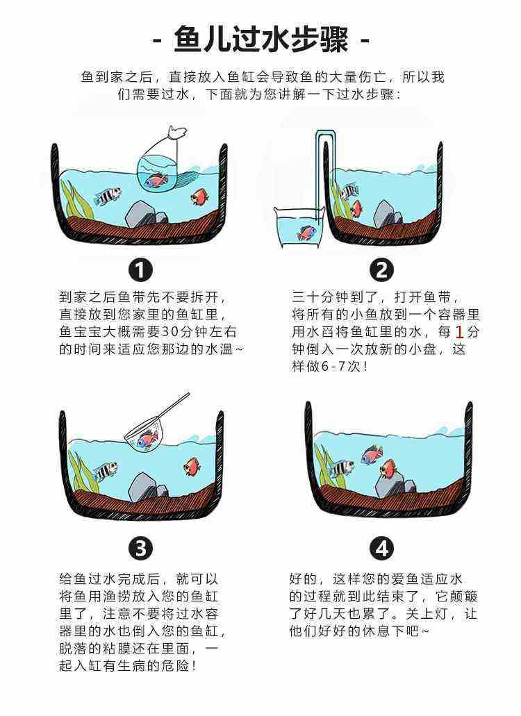 河里抓鱼苗技巧(怎样在河里捕小鱼苗)