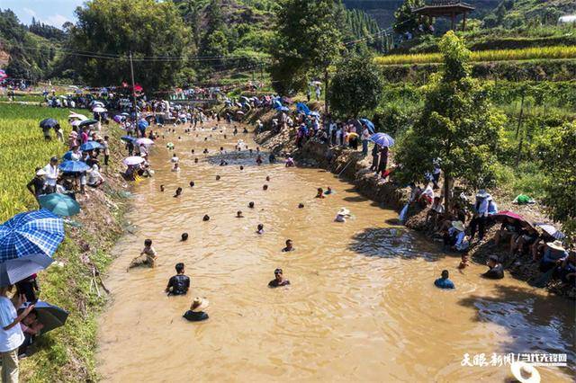 河里抓鱼苗技巧(怎样在河里捕小鱼苗)