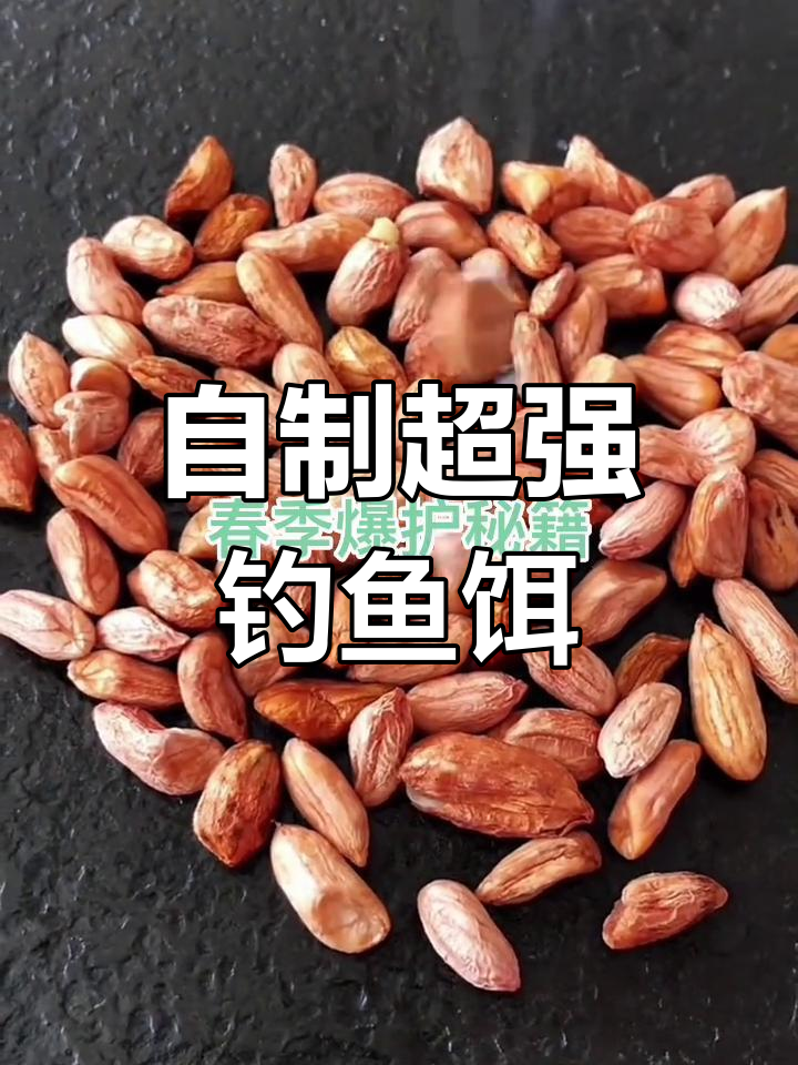 春钓用什么饵料(春钓用什么饵料最好)