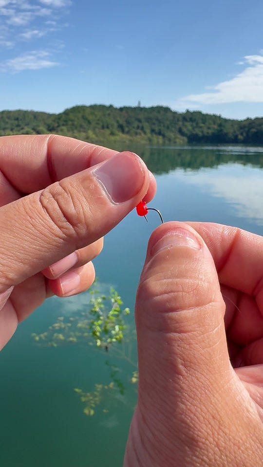 饵料正确挂钩(饵料正确挂钩钓鱼视频)