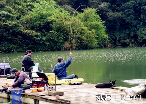 遛鱼的技巧视频(遛鱼的技巧视频教程)