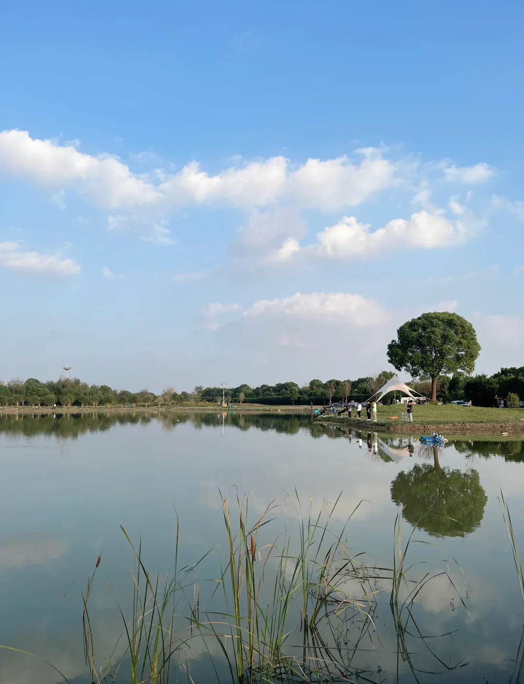 苏州地区路亚塘(路亚主要钓什么淡水鱼)