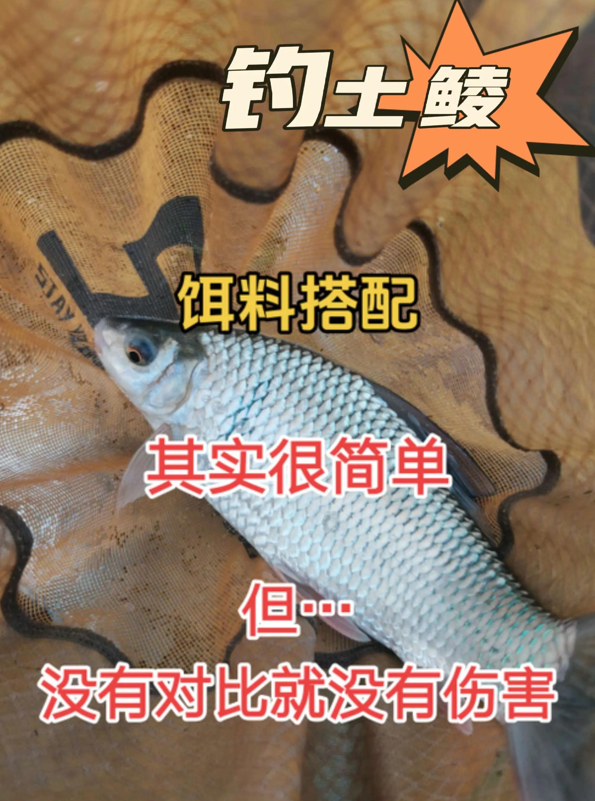 博大物饵料搭配(博大草鱼饵料咋样)