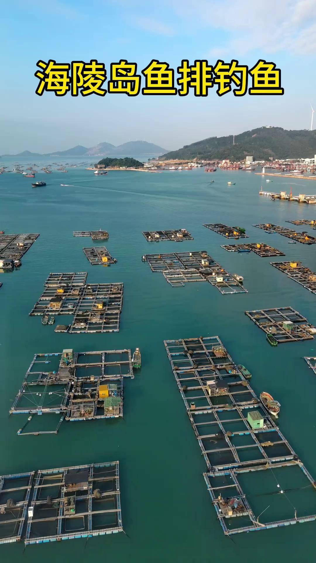 惠东鱼排海钓(惠东附近海域免费海钓)