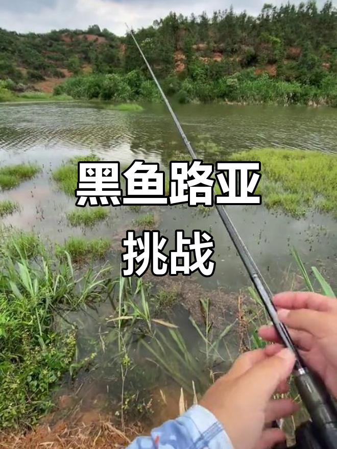 路亚竿钓黑鱼怎么样(路亚竿钓黑鱼实战视频)