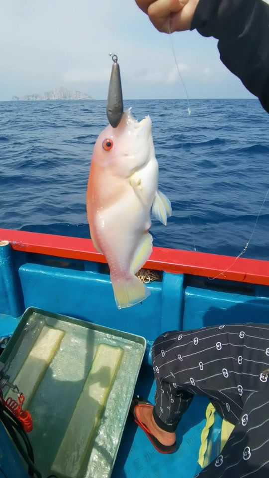 海南七洲海钓俱乐部(海南七洲海钓俱乐部地址)