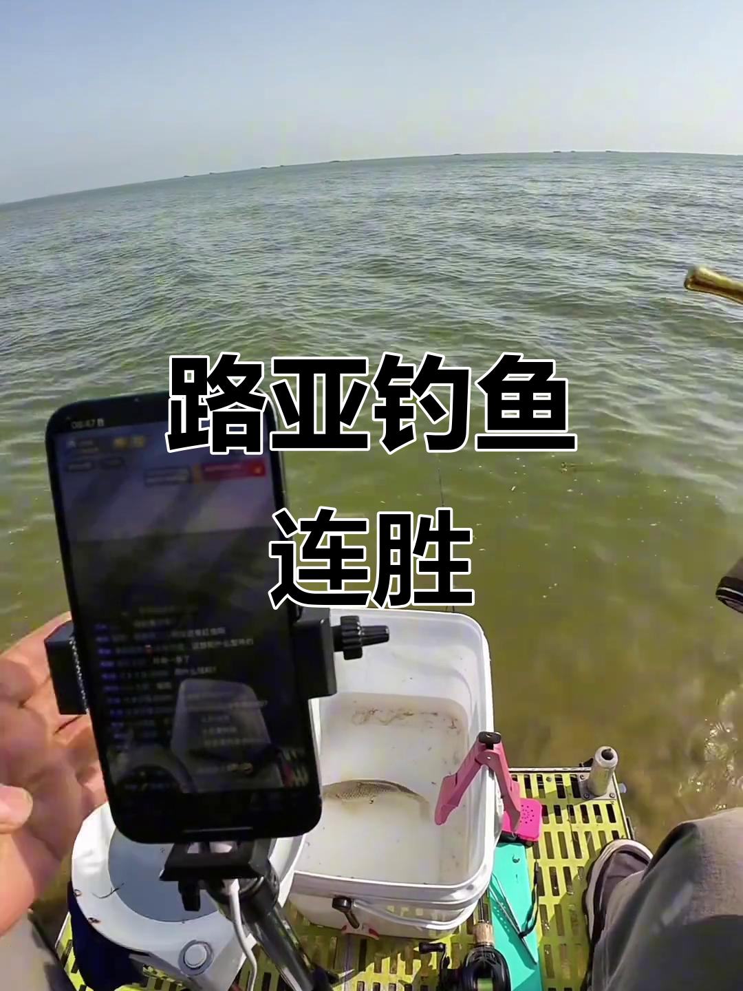 路亚可以钓鲤鱼吗(路亚可以钓鲤鱼和鲫鱼吗)