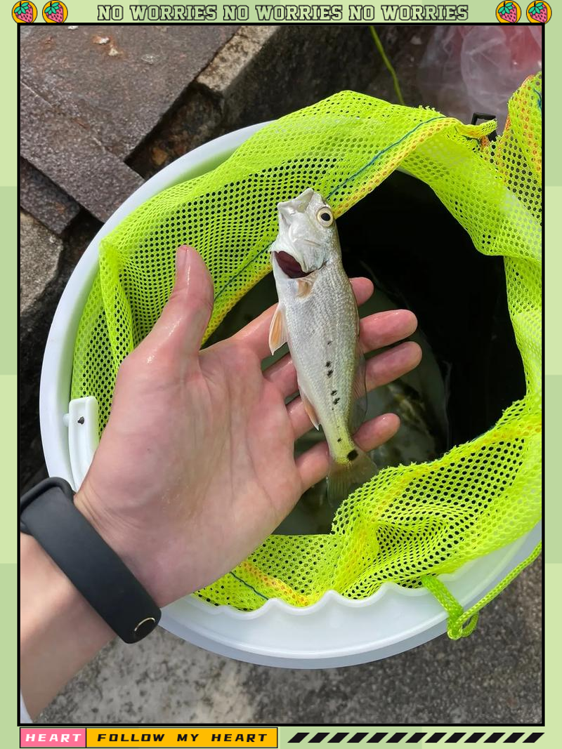 大连海钓用啥饵料(大连海钓用啥饵料好钓)