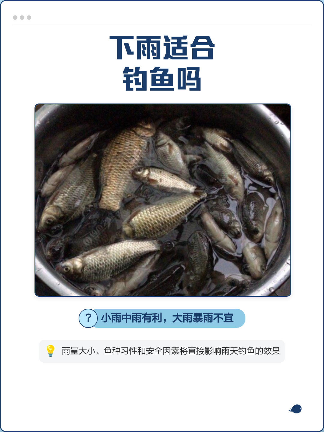 夏天大雨钓鱼技巧(夏天大雨过后钓鱼钓深还是钓浅)