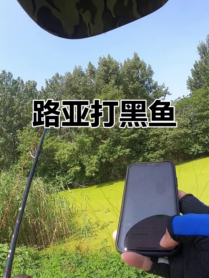 黑鱼海鲈路亚(黑坑路亚海鲈鱼)