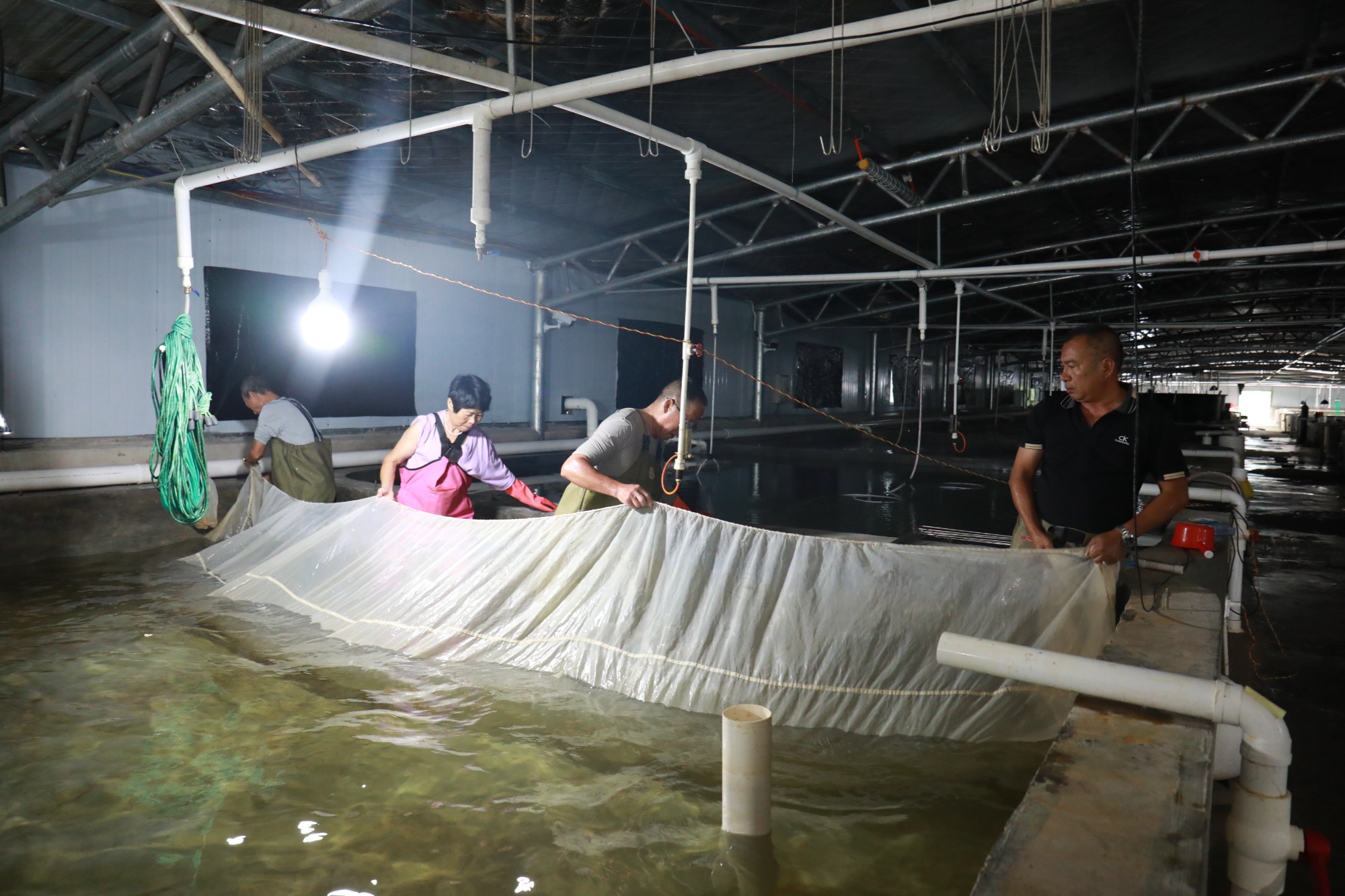 泉水渔具厂(泉水渔家开业了吗)