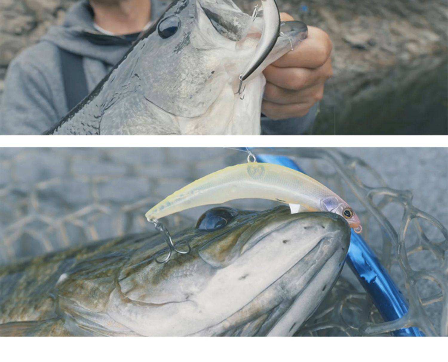 路亚频死鱼好吗(路亚竿容易断杆吗)