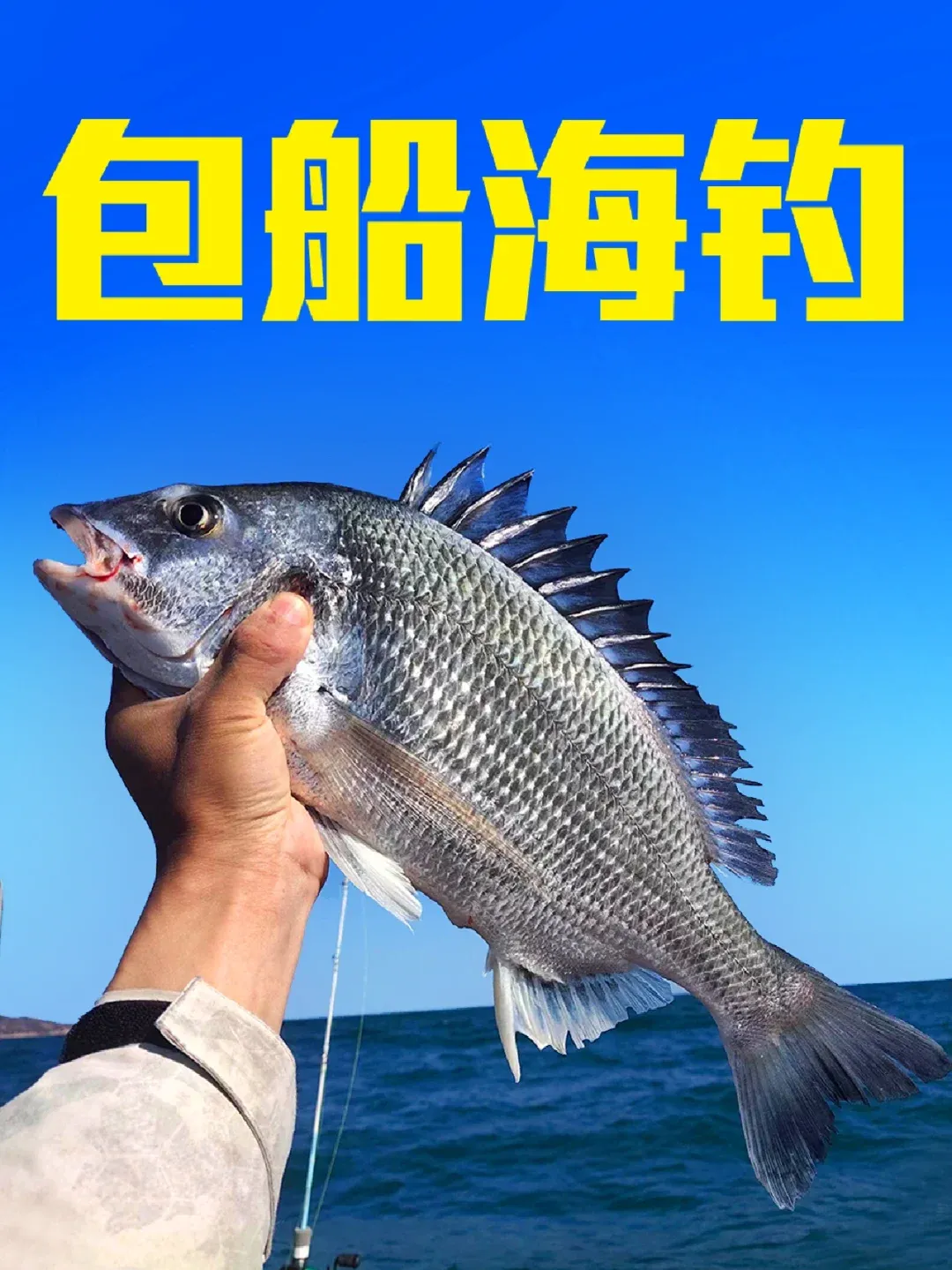 河北乐亭海钓船电话(海钓专用渔船多少钱一艘)