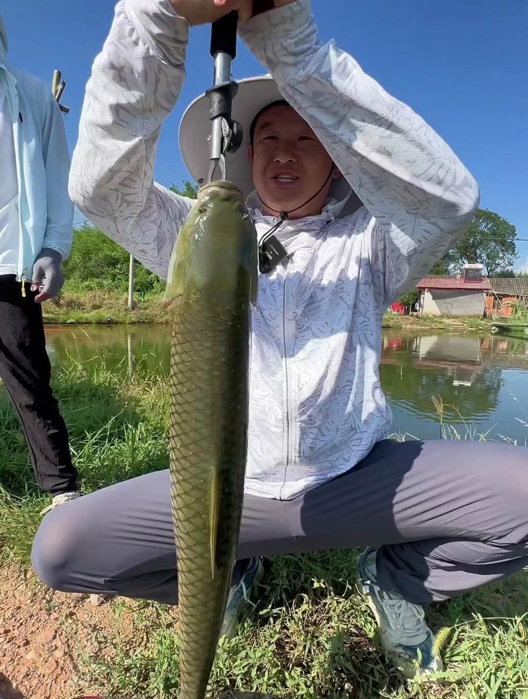 渔具店掉到鱼(2020年渔具店将大规模倒闭)