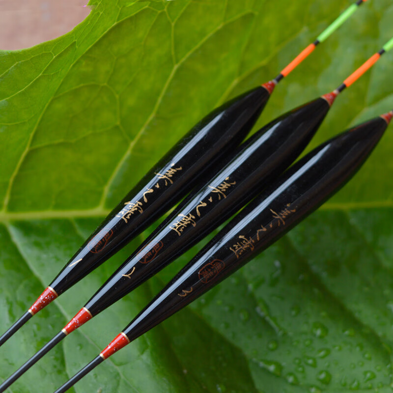 渔具展鱼漂(2020渔具展览时间表)