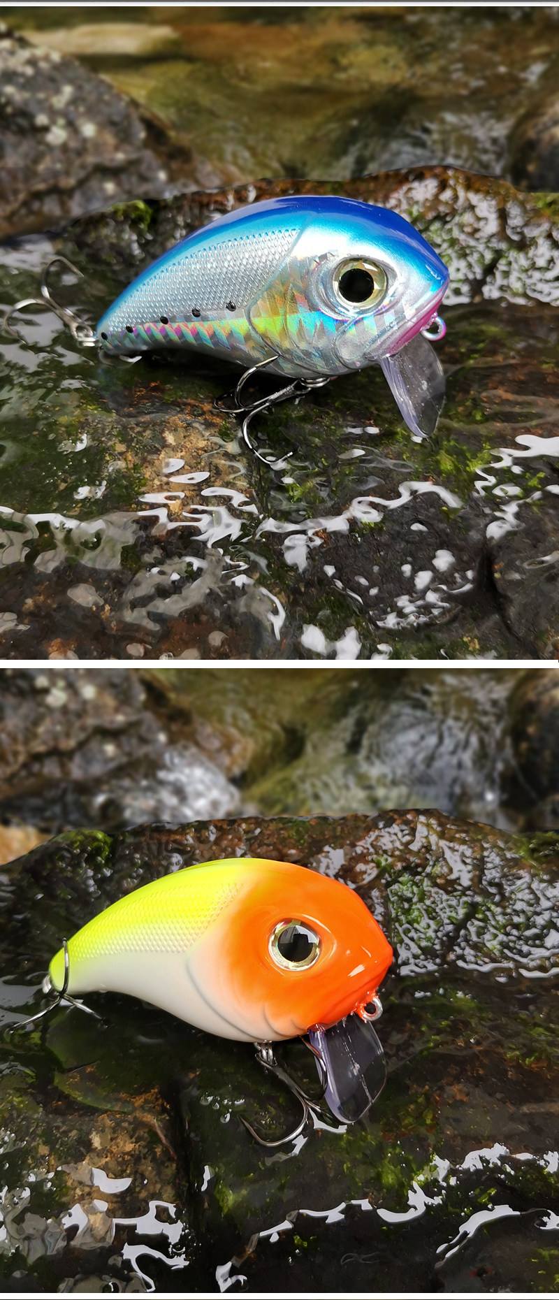 海钓鲈鱼用鱼饵(海钓鲈鱼用鱼饵吗)