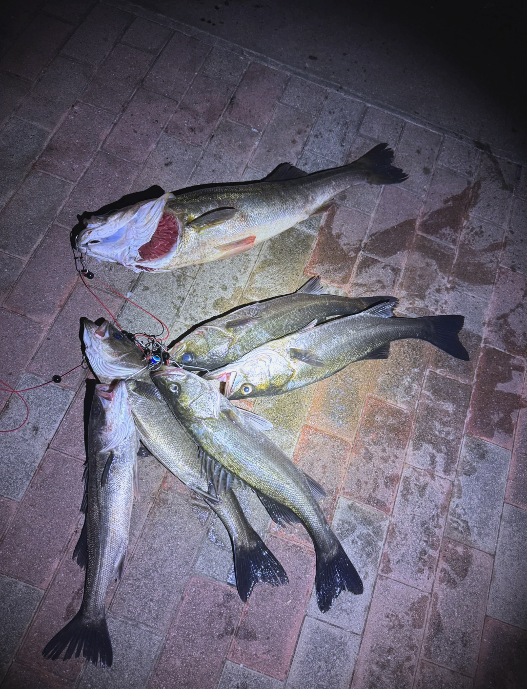 漕湖路亚(国产路亚十大品牌)