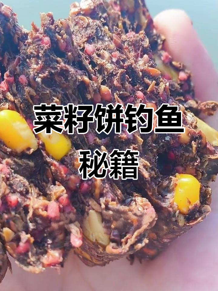 硬菜籽饼打窝技巧(硬菜籽饼打窝技巧图解)