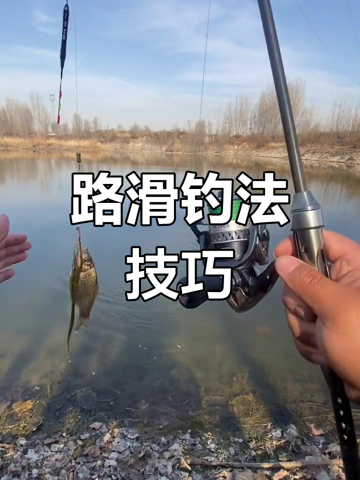 钓滑鱼技巧(钓滑鱼如何调漂)