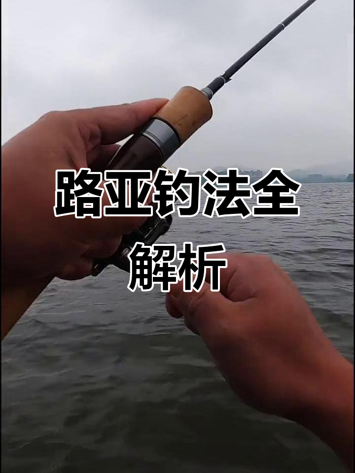 夏季路亚技巧视频(夏天路亚的最佳时间) 夏季路亚技巧视频(夏天路亚的最佳时间)