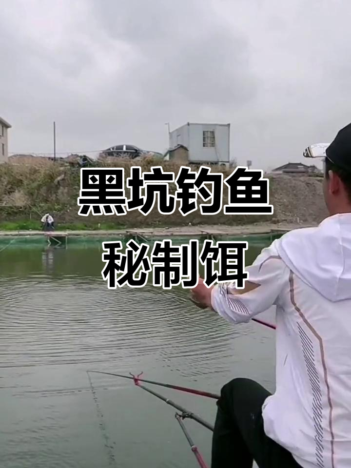 黑坑秋季青鱼钓法技巧(秋季黑坑青鱼开口时间段) 黑坑秋季青鱼钓法技巧(秋季黑坑青鱼开口时间段)