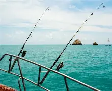 海钓锤负荷(海钓杆子多少硬度合适) 海钓锤负荷(海钓杆子多少硬度合适)