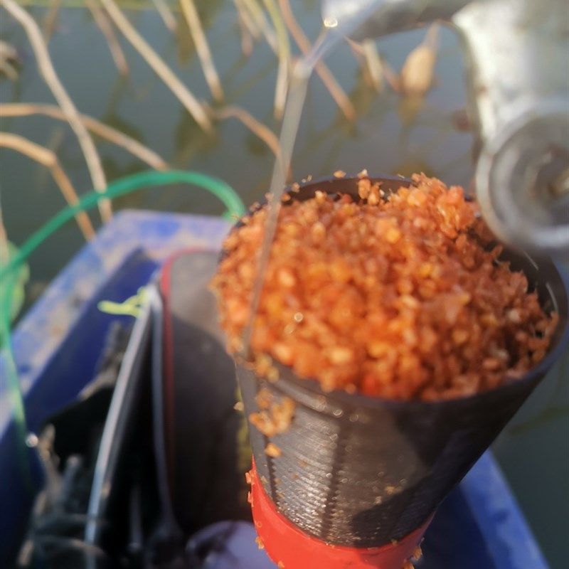 自制饵料小药(怎样自制小药钓饵) 自制饵料小药(怎样自制小药钓饵)