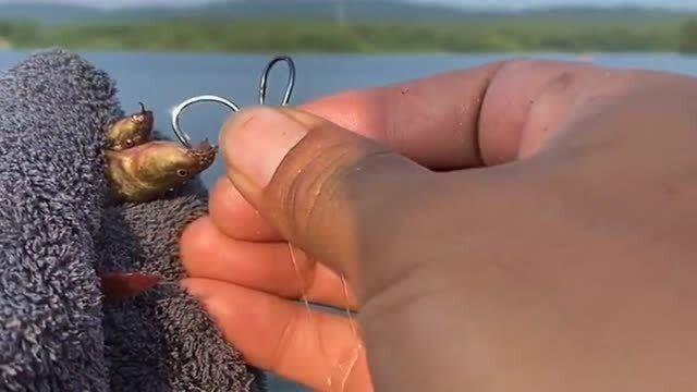 抛竿泥鳅钓鱼技巧(如何用抛竿泥鳅钓翘嘴图解) 抛竿泥鳅钓鱼技巧(如何用抛竿泥鳅钓翘嘴图解)