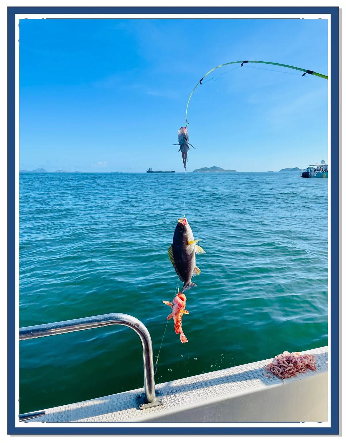 厦门可以海钓(厦门海钓船五缘湾餐厅) 厦门可以海钓(厦门海钓船五缘湾餐厅)