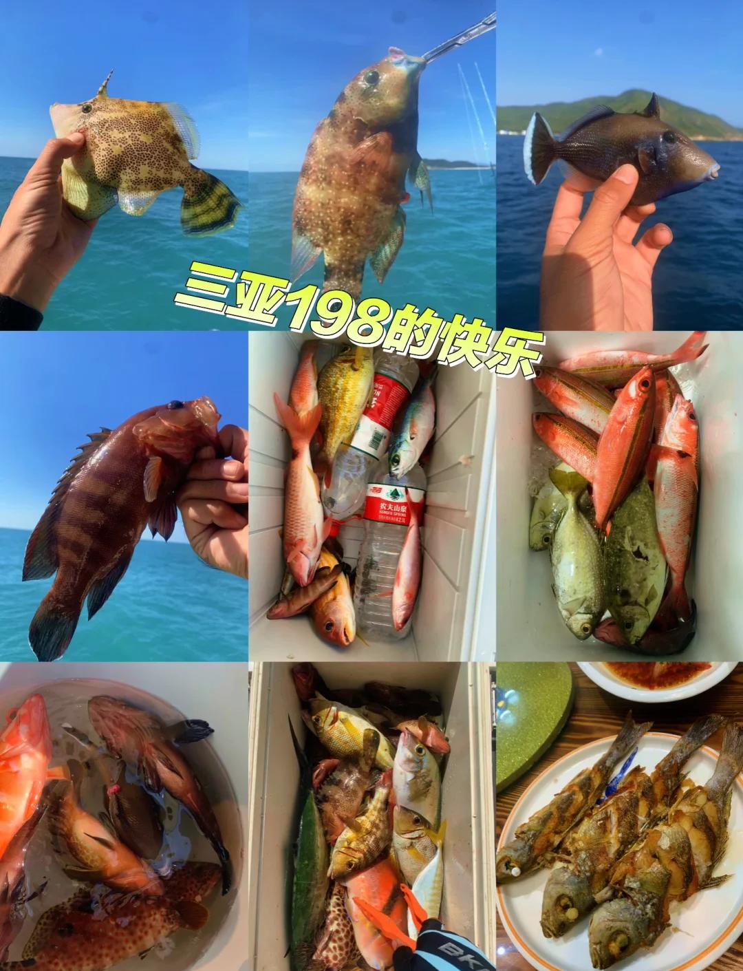 大东海哪儿海钓(大东海附近哪里适合钓鱼) 大东海哪儿海钓(大东海附近哪里适合钓鱼)