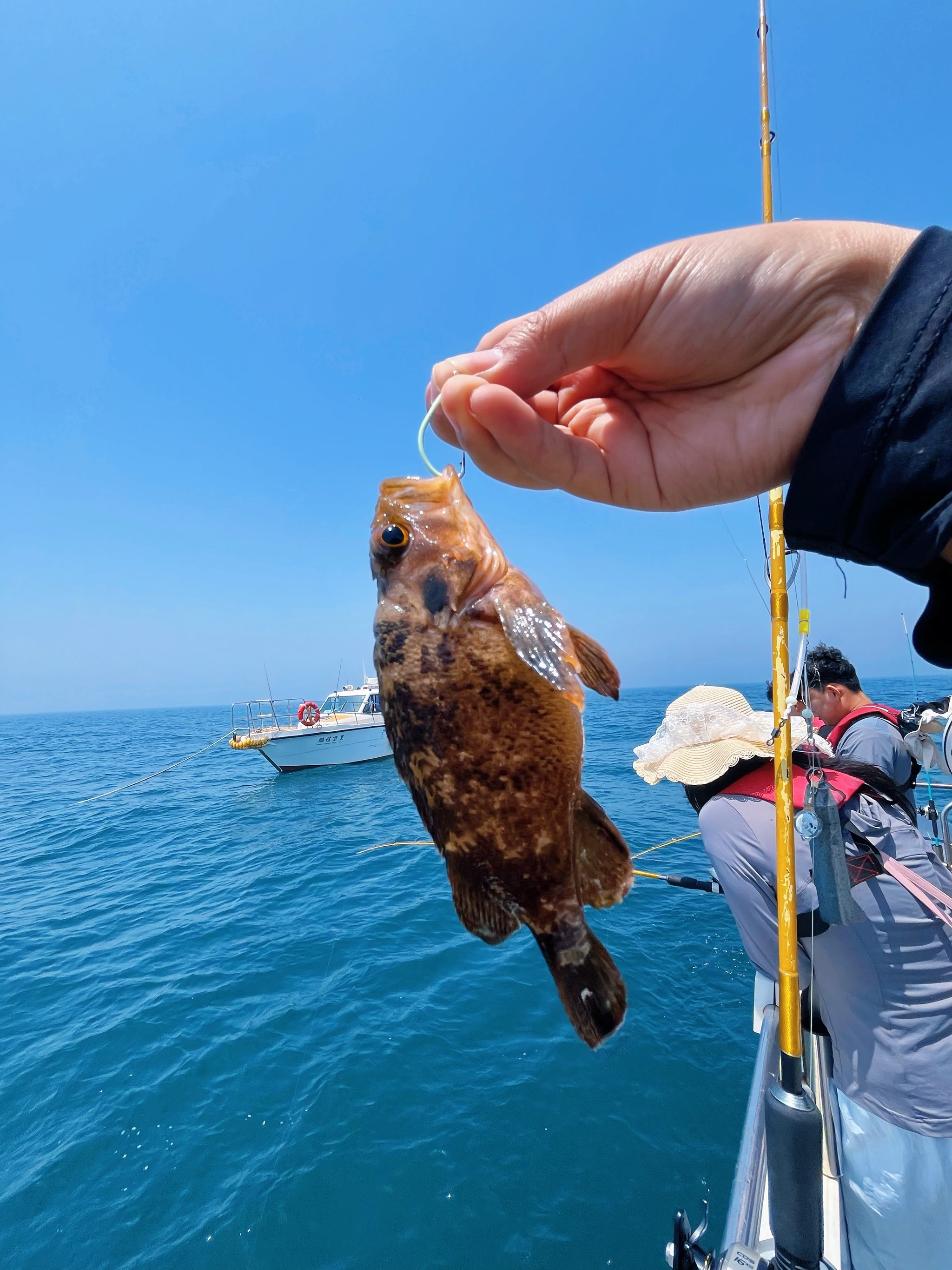 影响海钓的天气(钓海鱼的天气预报)