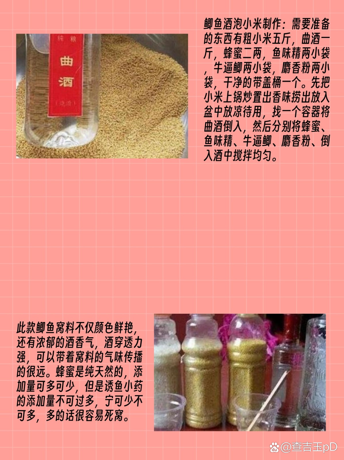 自制钓鱼饵料做法(自制钓鱼饵料做法和配方)