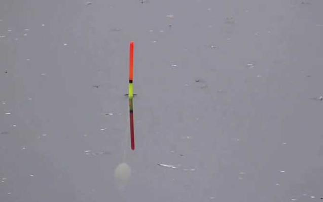 浮漂调灵调顿技巧(调浮漂怎么调才灵敏度) 浮漂调灵调顿技巧(调浮漂怎么调才灵敏度)