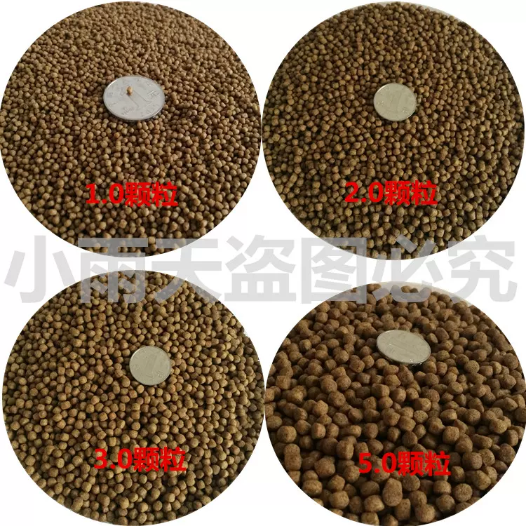 观赏鱼饵料生产厂家(生产鱼饵的厂家有哪些)