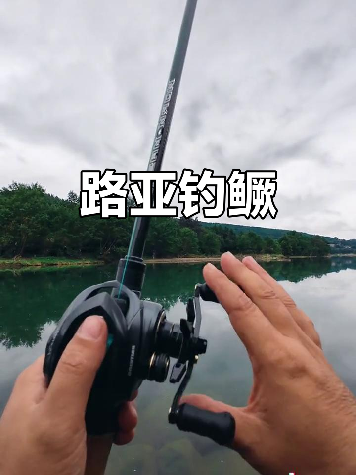 路亚竿钓哪些鱼(路亚竿什么鱼饵钓什么鱼)