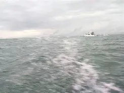 莱州湾海钓时间(莱州海钓岸钓地点) 莱州湾海钓时间(莱州海钓岸钓地点)