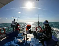 莱州湾海钓时间(莱州海钓岸钓地点) 莱州湾海钓时间(莱州海钓岸钓地点)