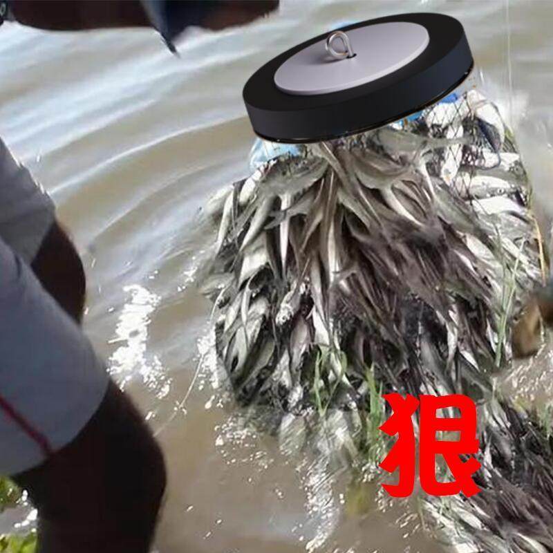 手竿钓红眼鱼技巧(钓红眼鱼的方法与技巧) 手竿钓红眼鱼技巧(钓红眼鱼的方法与技巧)