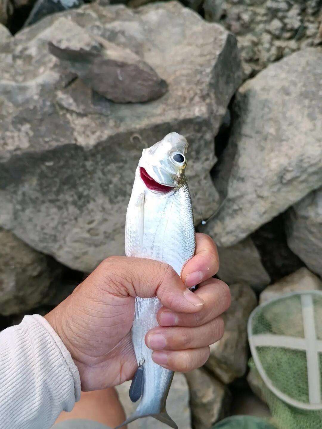 多云路亚翘嘴(多云天气路亚翘嘴)