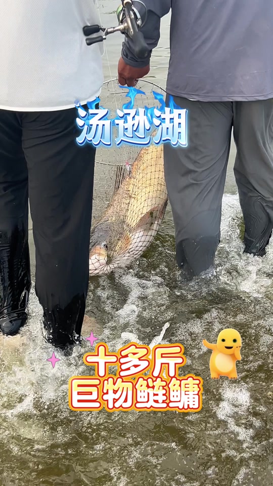 路亚和台钓(路亚和台钓的区别在哪里) 路亚和台钓(路亚和台钓的区别在哪里)