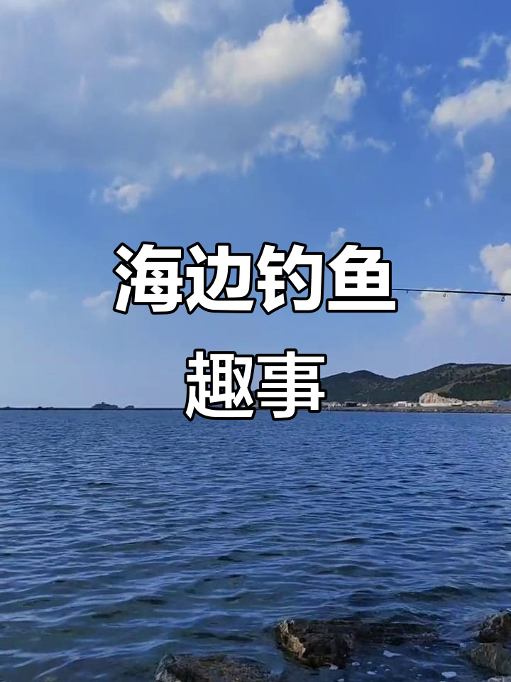 海钓鱼频道(四海钓鱼频道免费收看) 海钓鱼频道(四海钓鱼频道免费收看)
