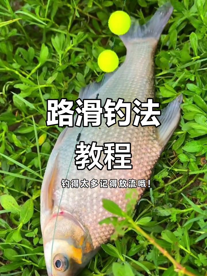 夏季在河道钓鱼技巧(夏季在河道钓鱼技巧图解) 夏季在河道钓鱼技巧(夏季在河道钓鱼技巧图解)