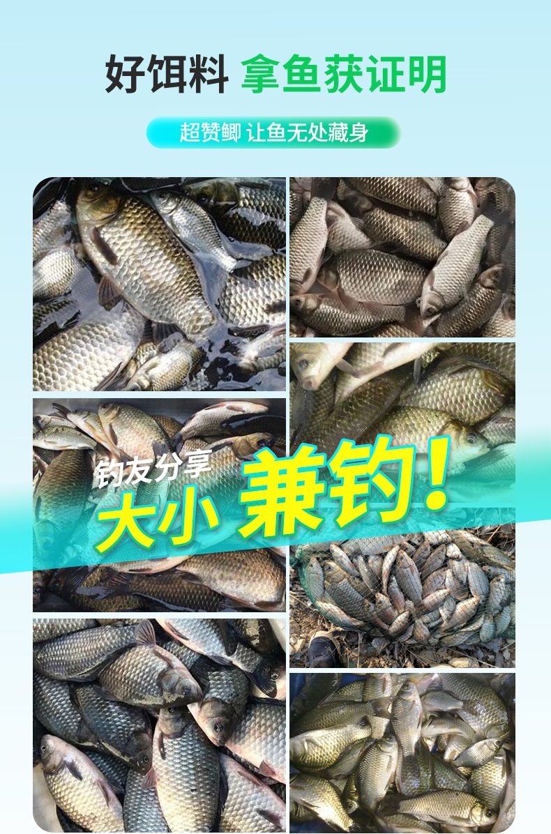 功能型饵料(功能性鱼饲料)