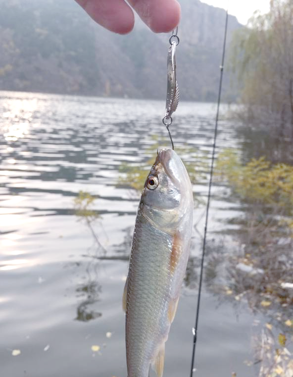 小溪路亚(溪流路亚野钓)